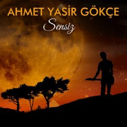 Ahmet Yasir Gökçe Sensiz