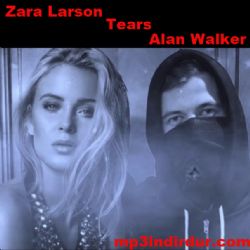 Alan Walker Tears