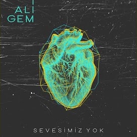 Ali Gem Sevesimiz Yok