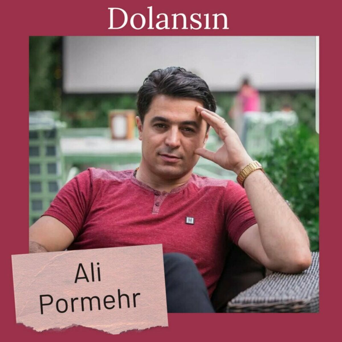 Ali Pormehr Dolansın