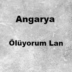 Angarya Ölüyorum Lan