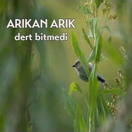 Arıkan Arık Dert Bitmedi