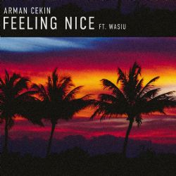 Arman Cekin Feeling Nice