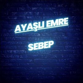 Ayaşlı Emre Ergin Sebep