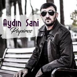 Aydın Sani Seni Sensiz Sevirem