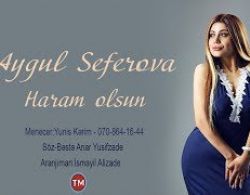 Aygül Seferova Haram Olsun