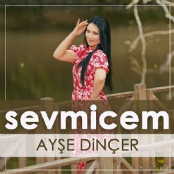 Ayşe Dinçer Sevmicem