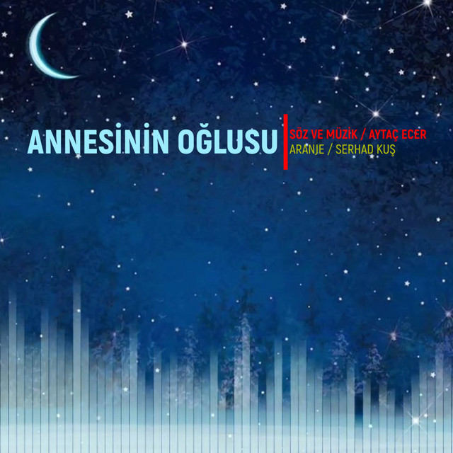 Aytaç Ecer Annesinin Oğlusu