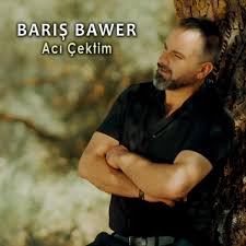 Barış Bawer Acı Çektim