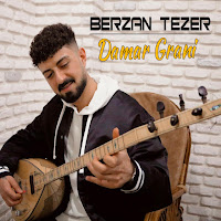 Berzan Tezer Damar Grani