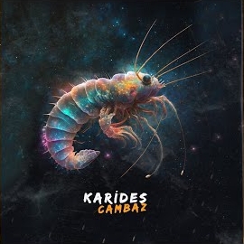 Cambaz Karides