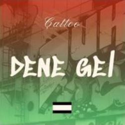 Çattoo Dene Gel