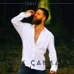 Cenk Çankaya Deli Gibi