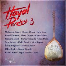 Hayal Perdesi 3