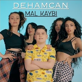 Dehamcan Mal Kaybı