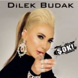 Dilek Budak Şok