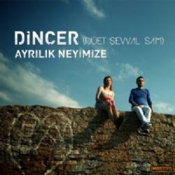 Dinçer Ayrılık Neyimize