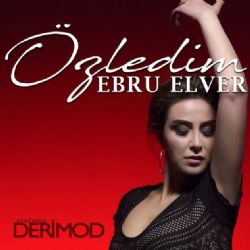 Ebru Elver Özledim