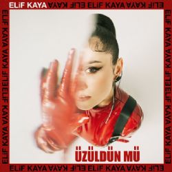 Elif Kaya Üzüldün Mü