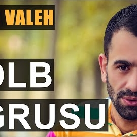 Elnur Valeh Qelb Oğrusu