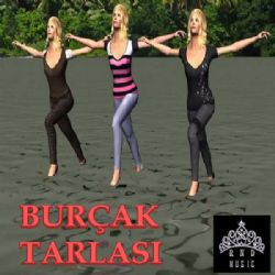 Eşber Güzel Burçak Tarlası