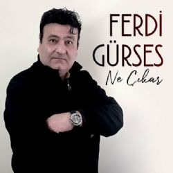 Ferdi Gürses Ne Çıkar