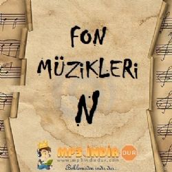 Fon Müzikleri N