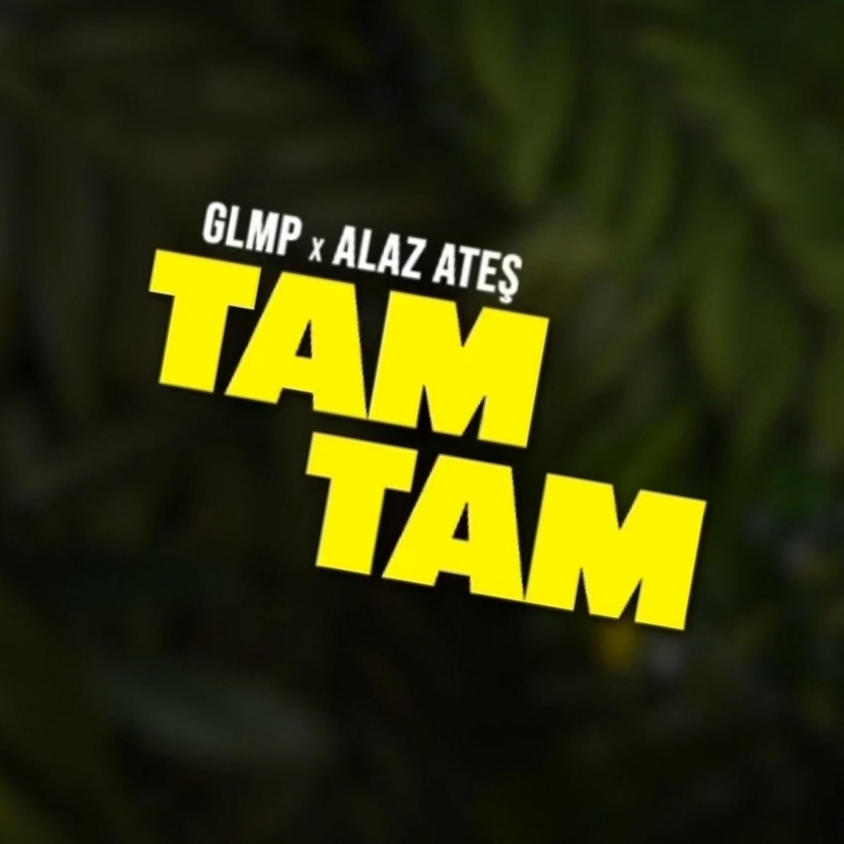 GLMP Tam Tam