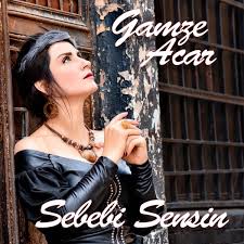 Gamze Acar Sebebi Sensin