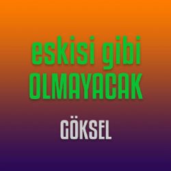 Göksel Kılıçlar Eskisi Gibi Olmayacak