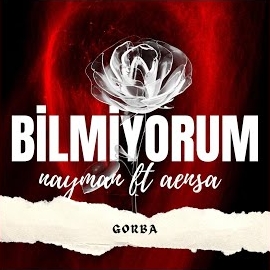 Gorba Bilmiyorum