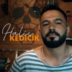 Haliç Kedicik