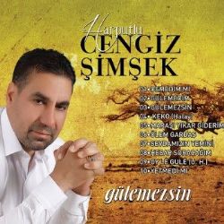 Harputlu Cengiz Şimşek Gülemezsin