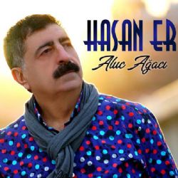 Hasan Er Aluc Ağacı