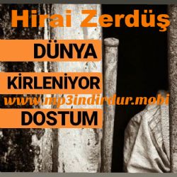 Hirai Zerdüş Dünya Kirleniyor Dostum