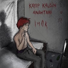 Im Ok Kayıp Kalbin Anahtarı