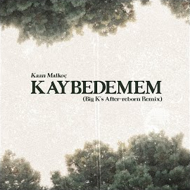 Kaan Malkoç Kaybedemem