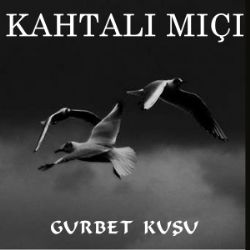 Kahtalı Mıçı Gurbet Kuşu