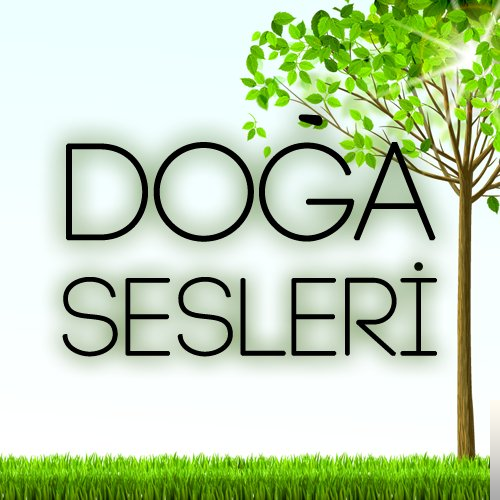 Karışık Sesler Yağmur Sesi