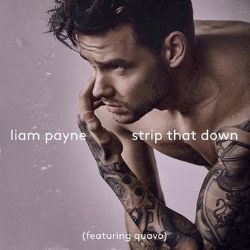 Liam Payne Strip That Down