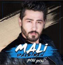 Mali Dalkıran Pisi Pisi