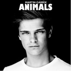 Martin Garrix Animals