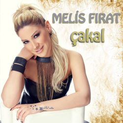 Melis Fırat Çakal