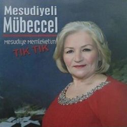 Mesudiyeli Mübeccel Mesudiye Memleketim