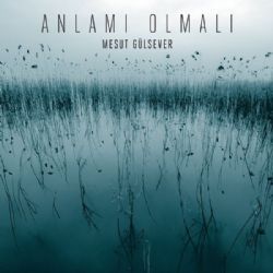 Mesut Gülsever Anlamı Olmalı