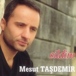 Mesut Taşdemir Sildim