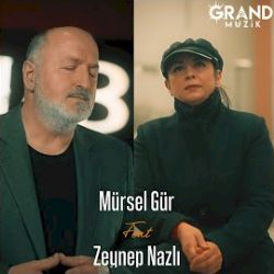 Mürsel Gür Zamansız Akşamlar