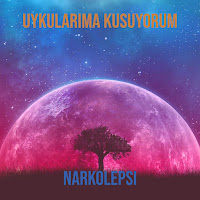 Narkolepsi Uykularıma Kusuyorum