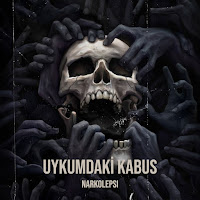 Narkolepsi Uykumdaki Kabus