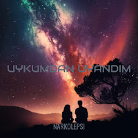 Narkolepsi Uykumdan Uyandım